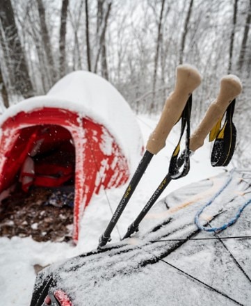 Location Image for Alliance Trekking Poles - Pair