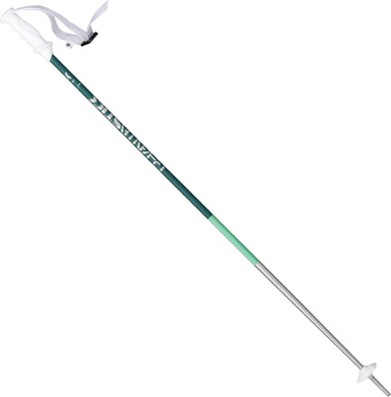 teal ski poles