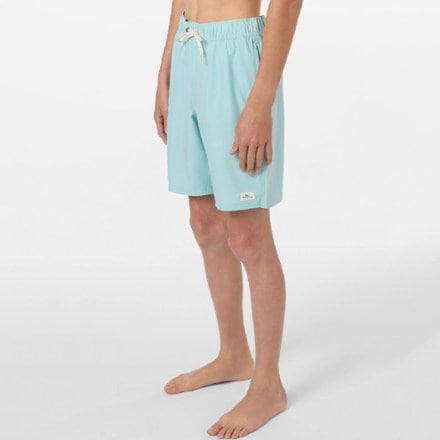 O'Neill Lennox Hermosa Solid 16" Board Shorts - Boys' 4