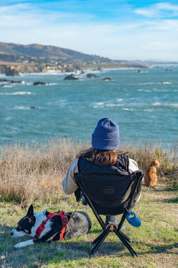 Location Image for ClassiQ Chair