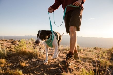 Ruffwear Front Range Dog Harness 9
