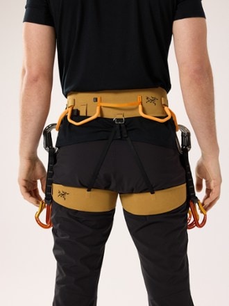 Arc'teryx AR-395a Harness - Men's 2