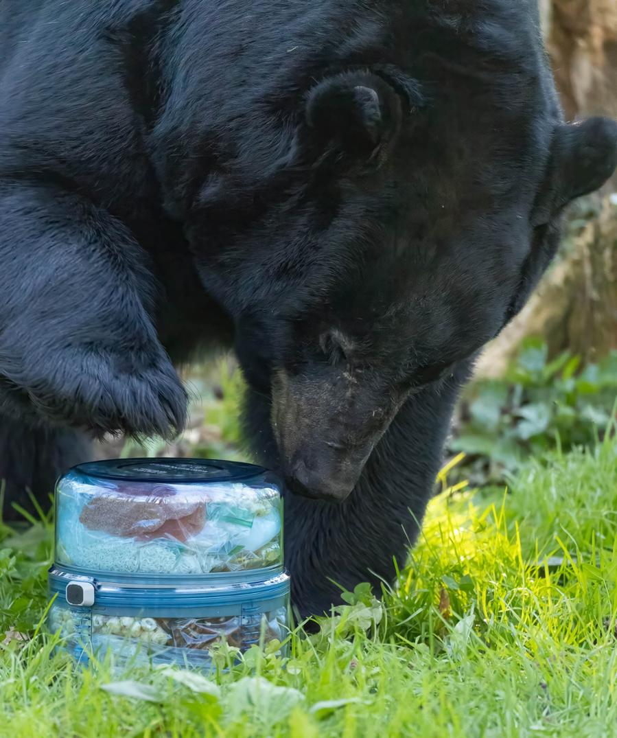 Location Image for BV ONE Adjustable Bear Canister