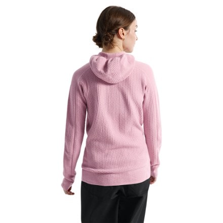 Arc'teryx Hallam Merino Wool Hoody - Women's 2
