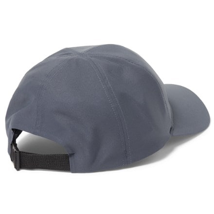 Arc'teryx Bird Word Cap 3
