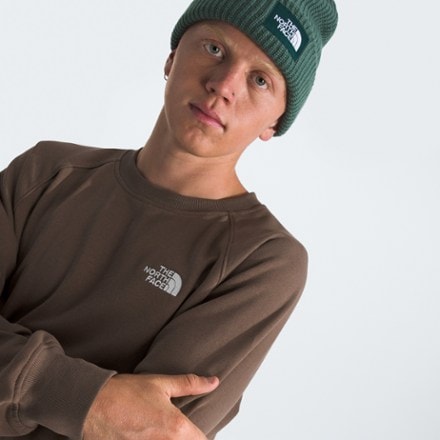 The North Face Evolution Crew Sweatshirt - Men's 4