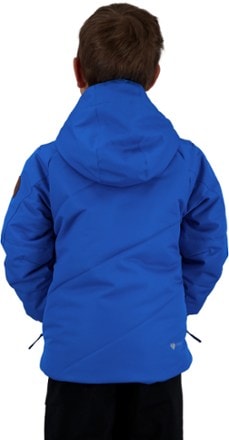 Obermeyer Camber Insulated Jacket - Toddlers' 2