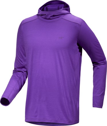 Arc'teryx Ionia Merino Wool Base Layer Hoodie Men's REI Coop