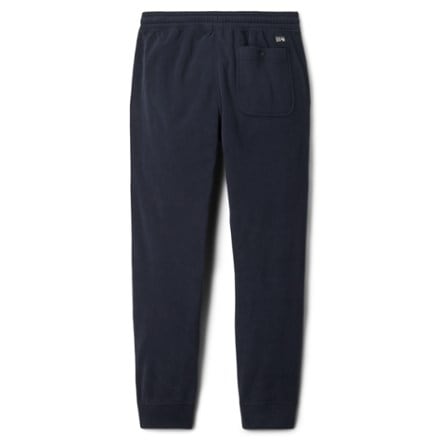 Mountain Hardwear Microchill Joggers - Men's 4