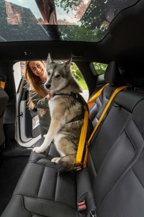 Thule Cappy Dog Harness - L 10