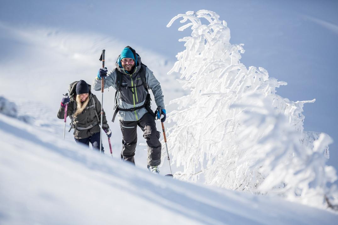 Location Image for Free Tour XT Carbon Ski Poles - Pair