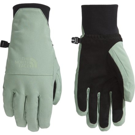 The North Face Shelbe Raschel Etip Gloves - Women's 0