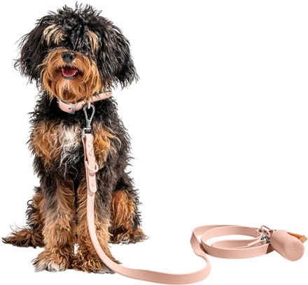 Wild One Waterproof Dog Collar Leash and poop bag carrier not included