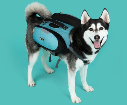 OllyDog Rover Dog Pack 2