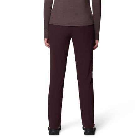 Mountain Hardwear Dynama Lined Pants - Women's 1