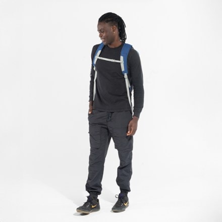 Sherpani Quest 20 L Day Bag 5
