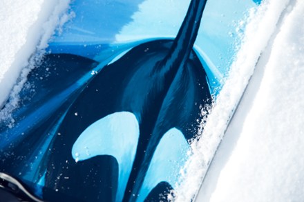 Lib Tech T. Rice Orca Snowboard - 2023/2024 4
