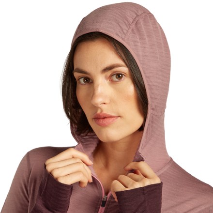 Icebreaker Merino Blend 200 RealFleece Descender Long-Sleeve Zip Hoodie - Women's 3