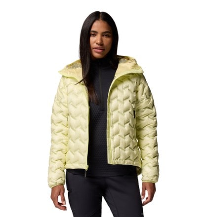 Columbia Alpine Crux IV Down Hooded Jacket - Women's 10