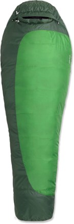 Alternative View (Dark Grass)