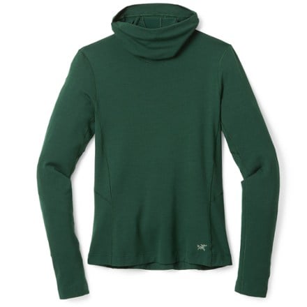 Arc'teryx Satoro Merino Wool Base Layer Hoody - Women's 0