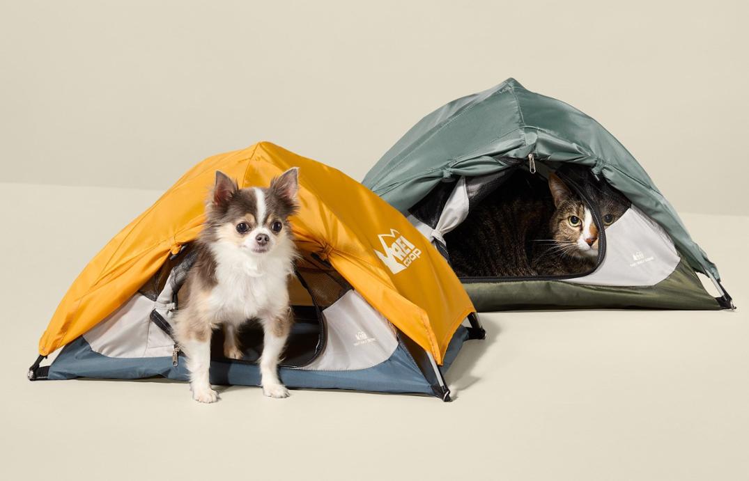 Location Image for Tiny Half Dome Tent