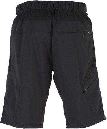 Zoic Ether Bike Shorts and Liner - Men's Back view (Black)