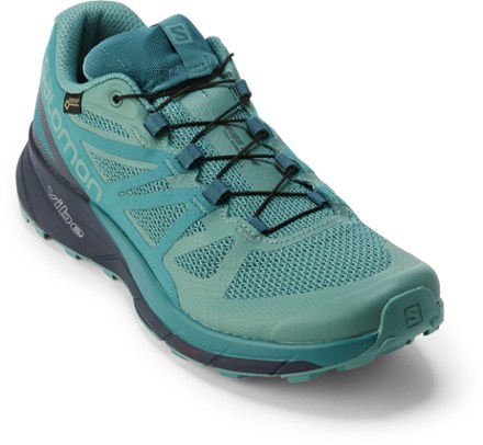 salomon sense ride gtx invisible