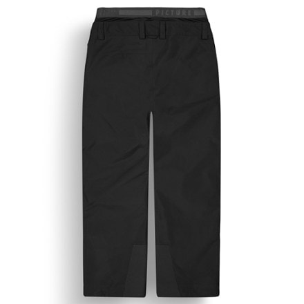 Picture Organic Clothing Object GTX Snow Pants - Men's 4