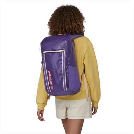 Patagonia Black Hole 32L Travel Pack 2