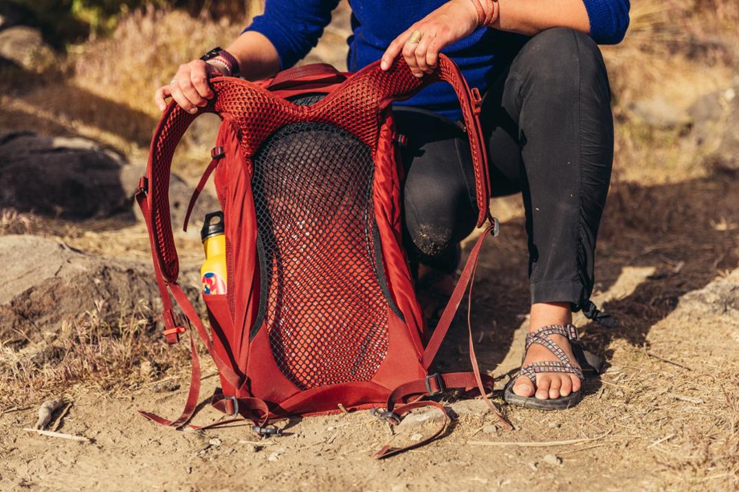 Location Image for Arrio 24 Pack - Plus Size