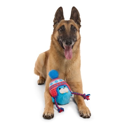 Bark Barktic Chill Dog Toy 2