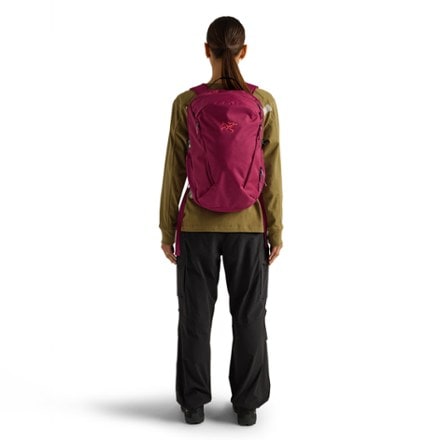 Arc'teryx Mantis 26 Pack 3