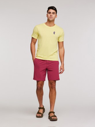 Cotopaxi Veza Adventure Shorts - Men's 3