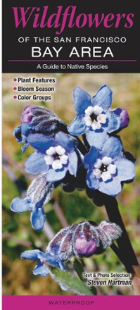 Santa Clara Valley Wildflower Guide