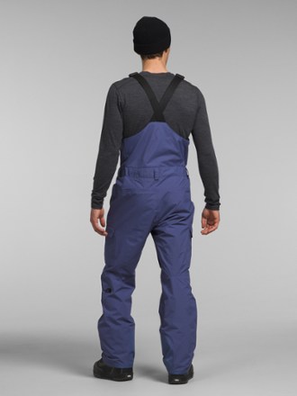 The North Face Freedom Bib Snow Pants - Men's Short Sizes 1