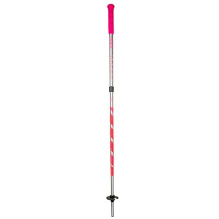mountainFLOW eco-wax Kids' Adjustable Design Your Own Ski Poles - Pair 0