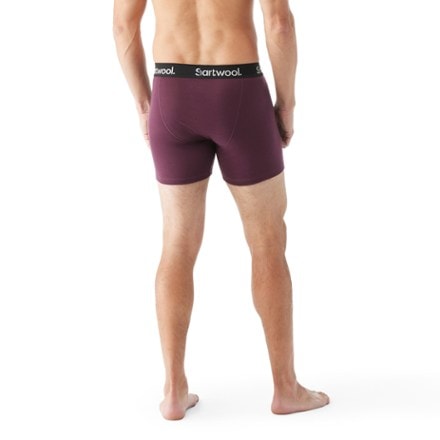 Smartwool Merino Boxer Briefs - Men's 2