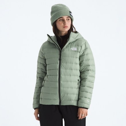 The North Face Classic Down Hooded Jacket - Women's 1