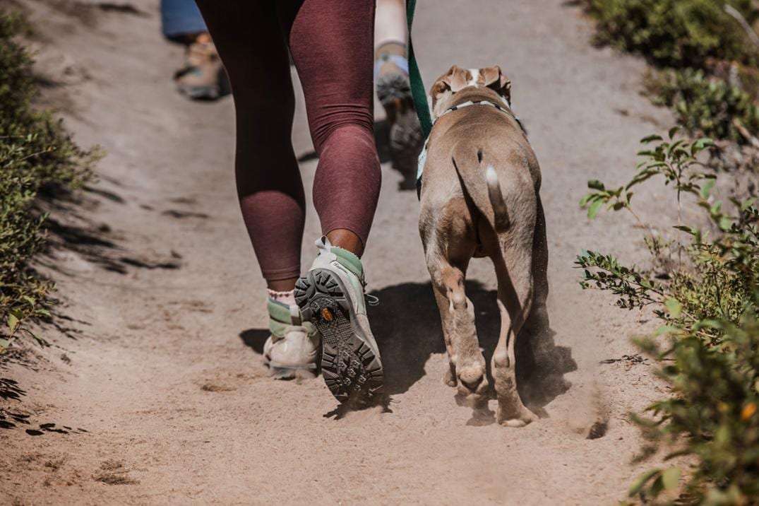 Location Image for Inquire Mid Hiking Boots - Women's
