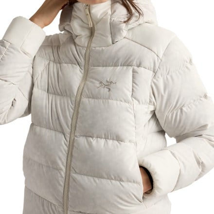 Arc'teryx Thorium Down Jacket - Women's 6