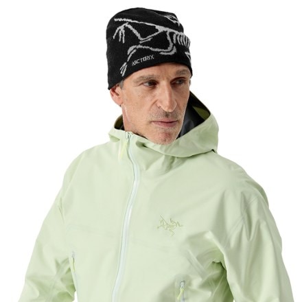 Arc'teryx Bird Head Toque Beanie 4