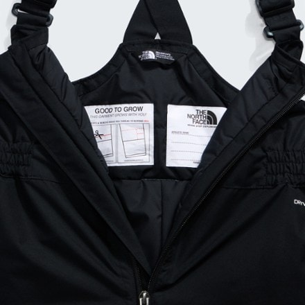 The North Face Freedom Insulated Bib Snow Pants - Toddlers' 4