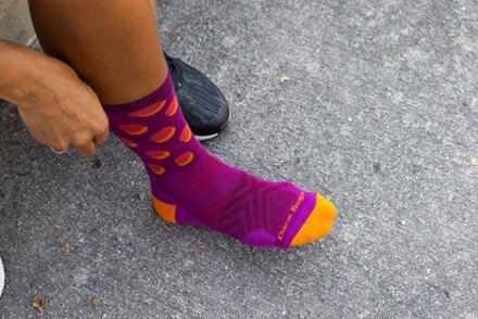Darn Tough Circuit Micro Crew Ultralight Cushion Socks - Women's 3