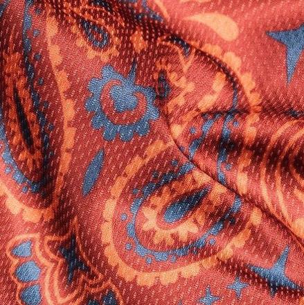 Swatch Image of color Rodeo