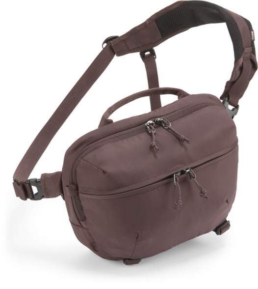 Product Image of color Raisin