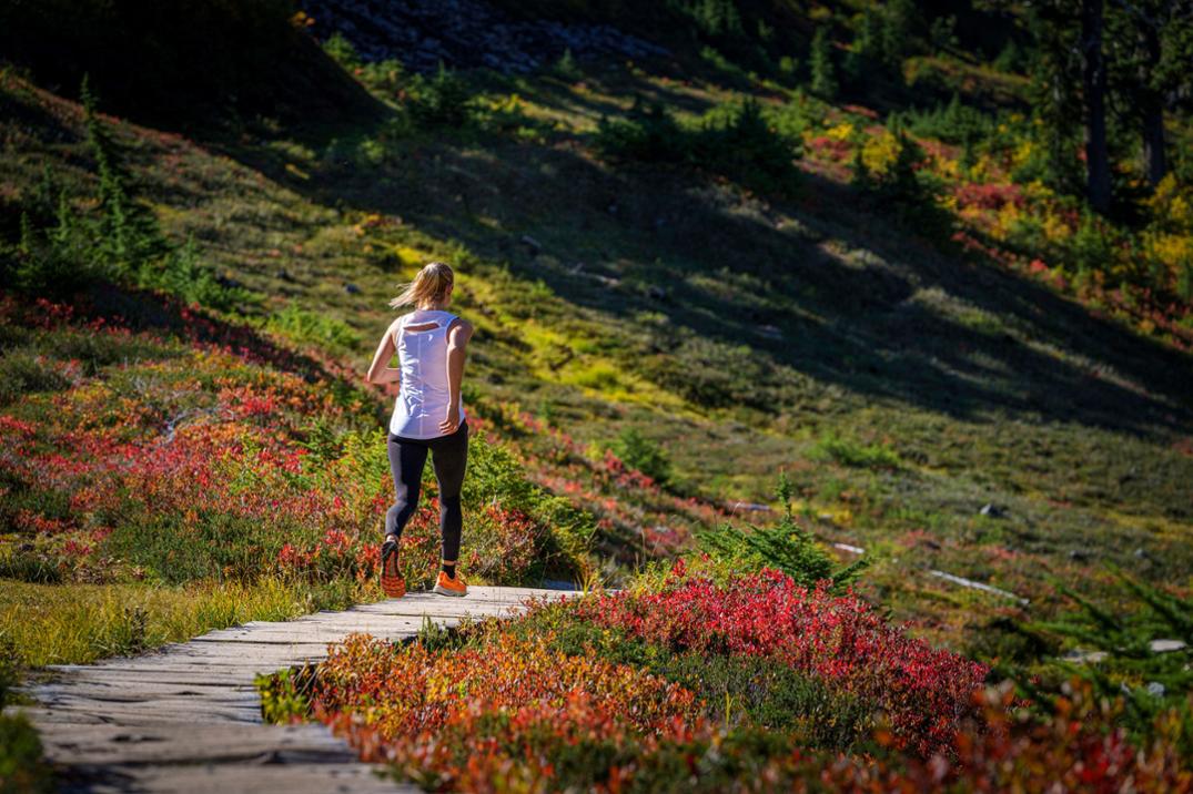 Location Image for Timp 4 Trail-Running Shoes - Women's