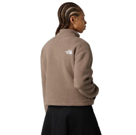 The North Face Fleeski Quarter-Zip Pullover - Women's 2