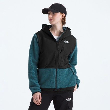 The North Face Retro Denali Hoodie - Women's 1