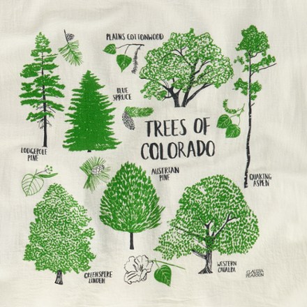 Claudia Pearson Field Guide to Colorado Trees Tea Towel 2